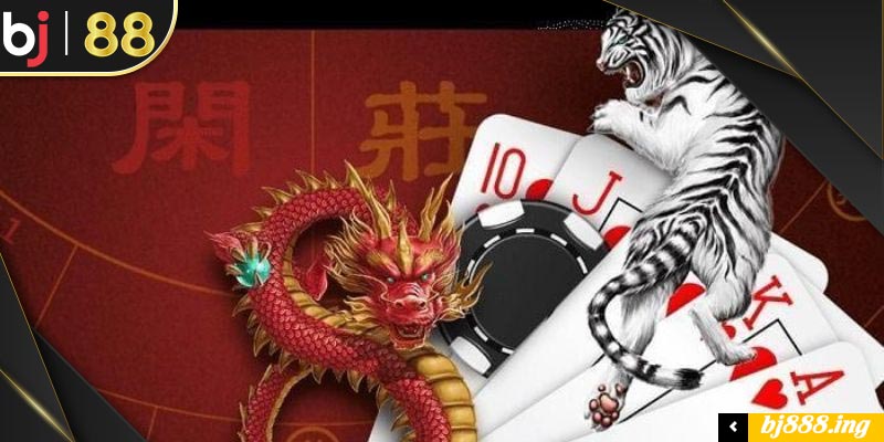 rồng hổ